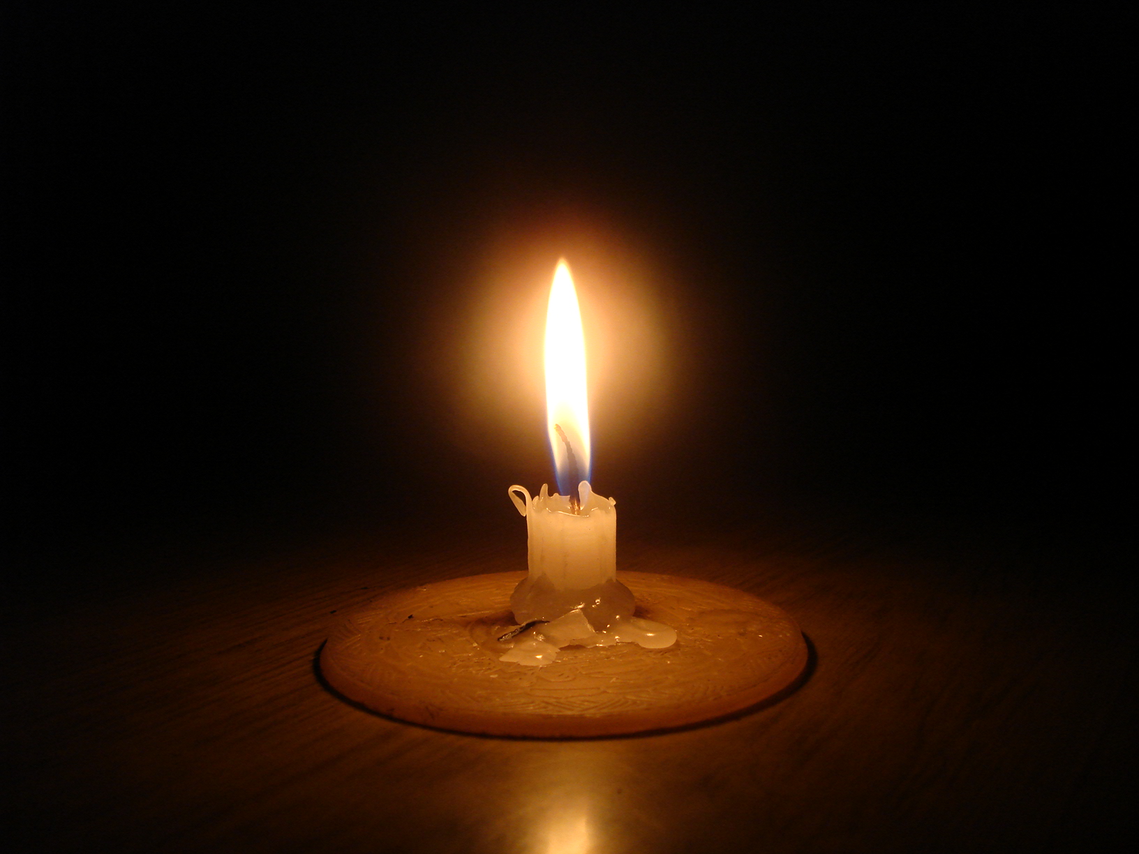 luz-Consultancy Firm