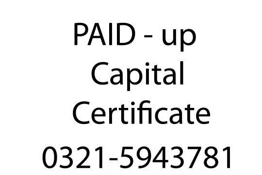 Subscription Capital Certificate
